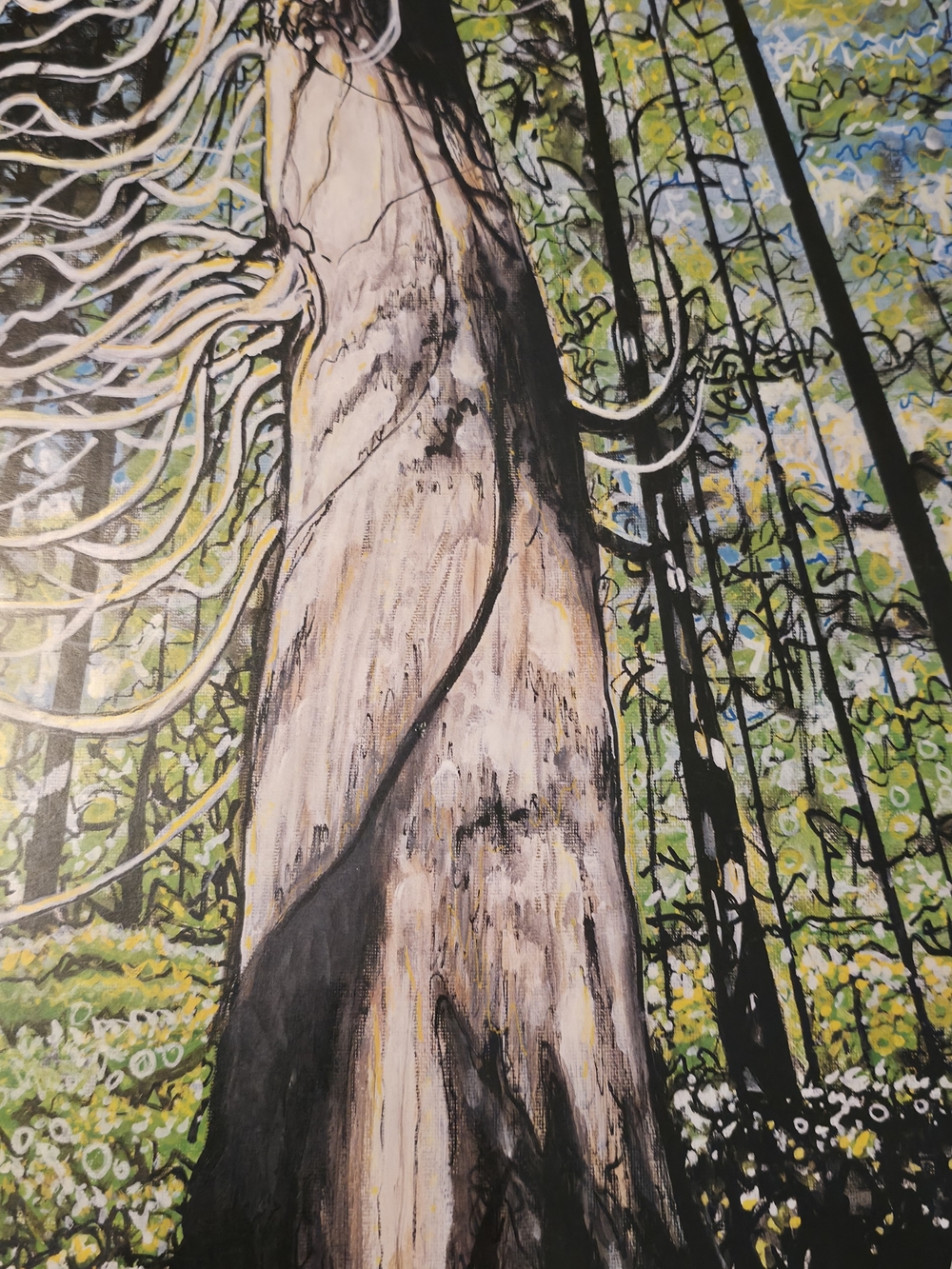 4/$67 Deal! West Coast Art Print - Yellow Cedar